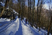 10 Nella bellissima faggeta